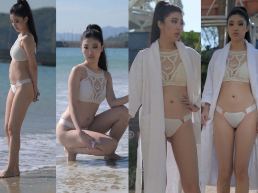 [一始专区] 不吃鱼的猫